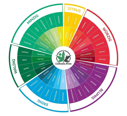 Terpene