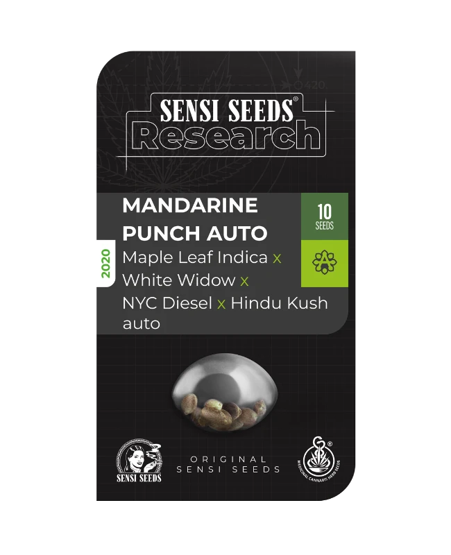 Mandarin Punch - Sensi Seeds - 3 Stk