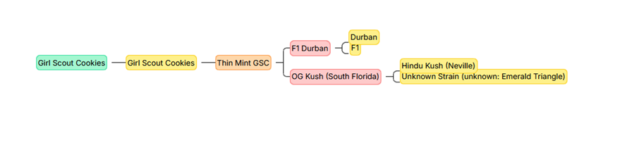 Girl Scout Cookies – 60/40 Hybrid mit 24-28% THC