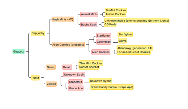 Gogurtz – 50/50 Hybrid mit 25-30% THC