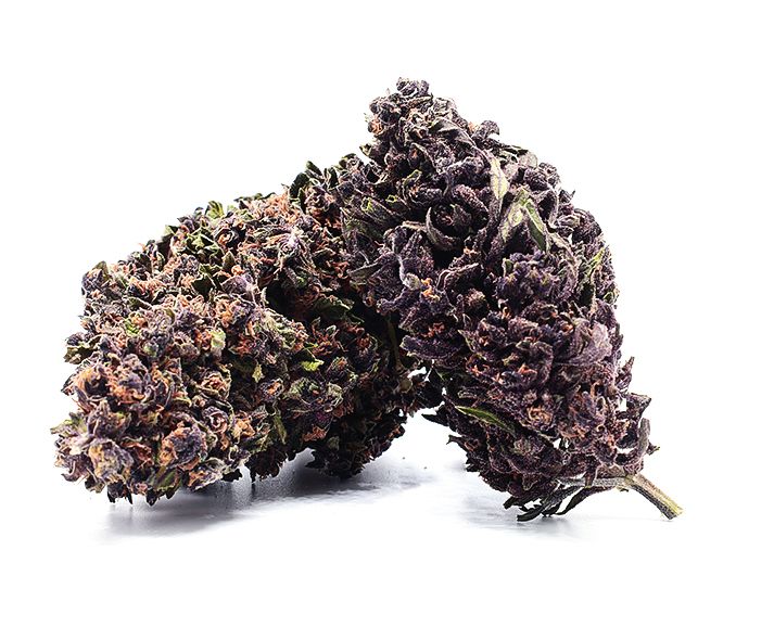 Purple Jack CBD 13.3%
