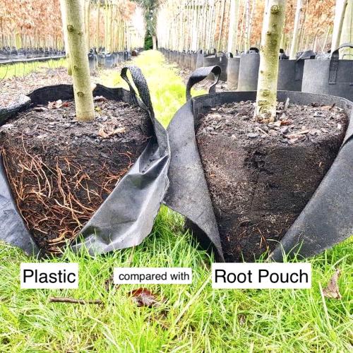 ROOT POUCH - Schwarzer Textiltopf mit Griffen - Nachhaltig, Langlebig & Wurzelfreundlich