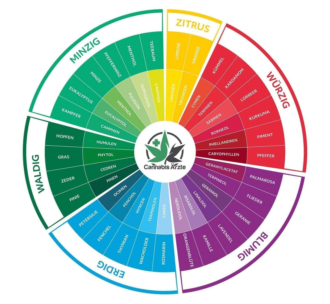Terpene