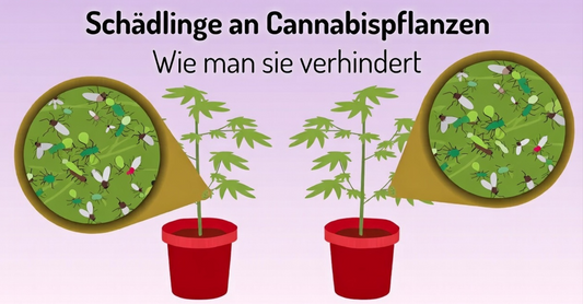 Schädlinge