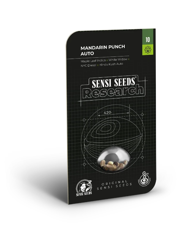 Mandarin Punch - Sensi Seeds - 3 Stk
