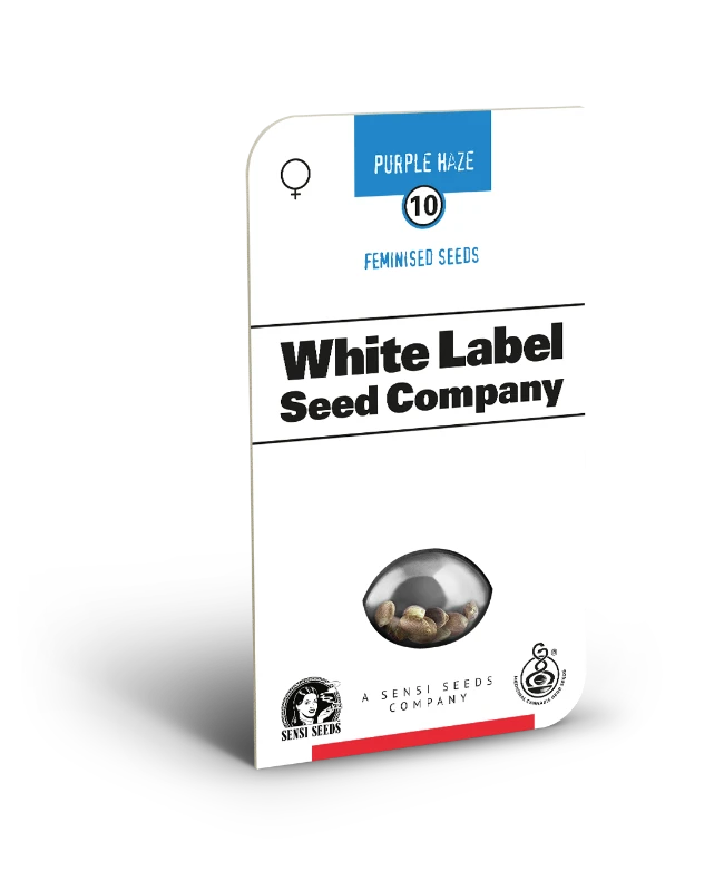 Purple Haze - Sensi Seeds - 3 Stk