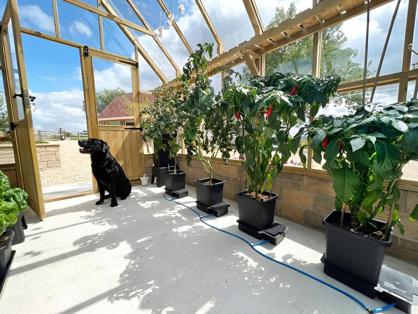 AutoPot 1Pot Bewässerungsset mit 3 x 15L Töpfen