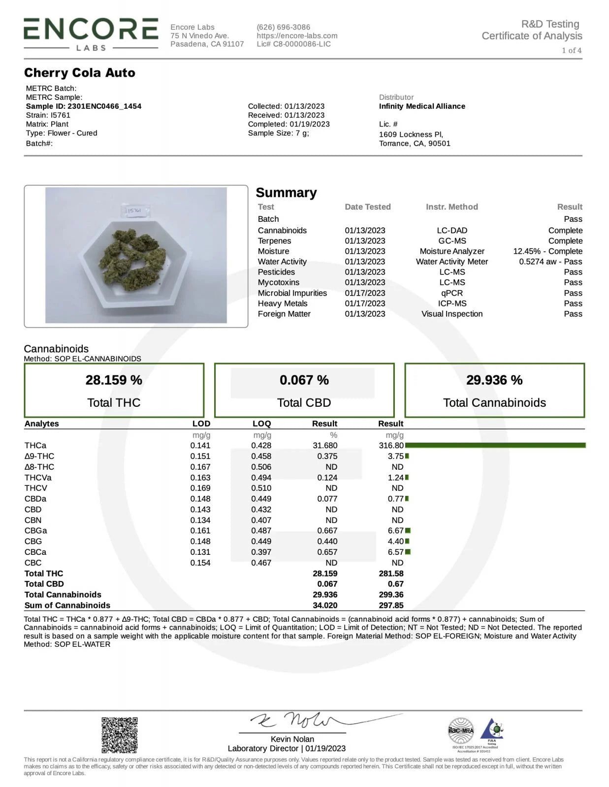 Cherry Cola Auto – Fast Buds - 3 Stk