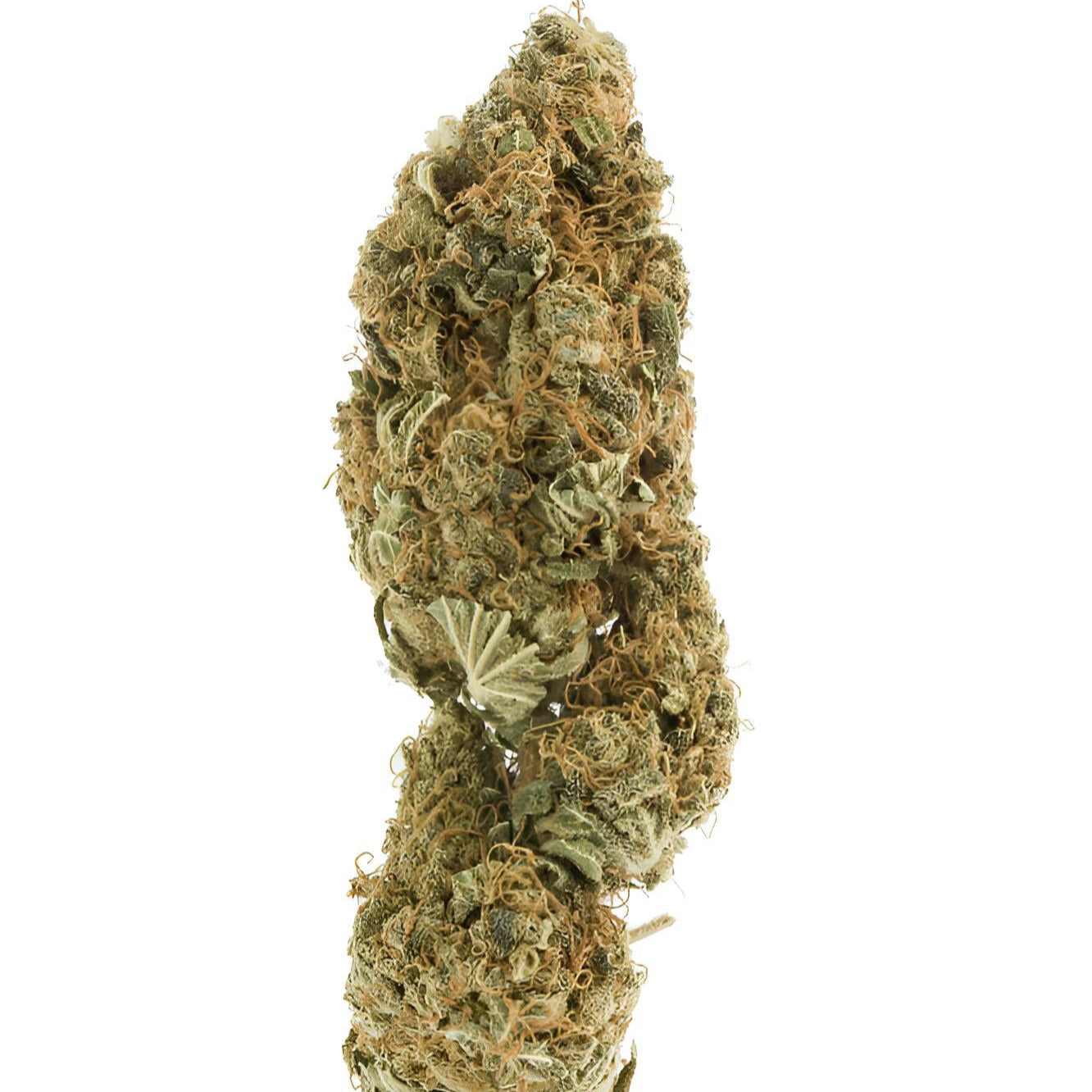 CBD Blüte Double Cinnamon – Indica-dominierter Hybrid 19,2 % CBD