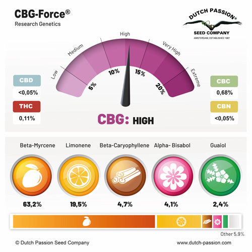 CBG-Force - Dutch Passion - 3 Stk
