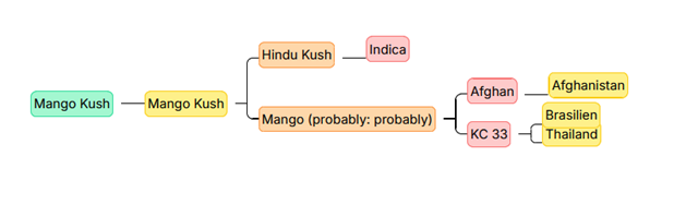 Mango Kush – 80/20 Indica mit 22% THC