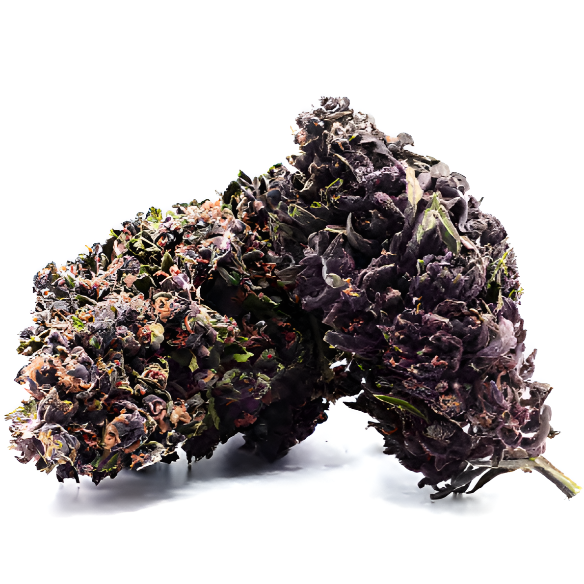 Purple Jack CBD – Hochwertige Cannabissorte mit 13,3 % CBD