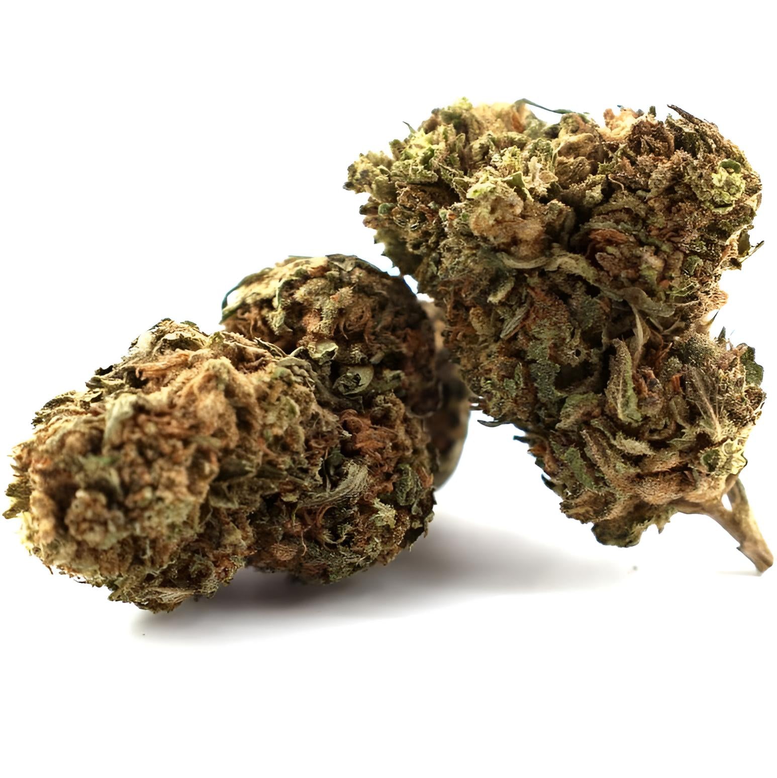 Russian Roulette CBD – Potente Cannabissorte mit 15,8 % CBD