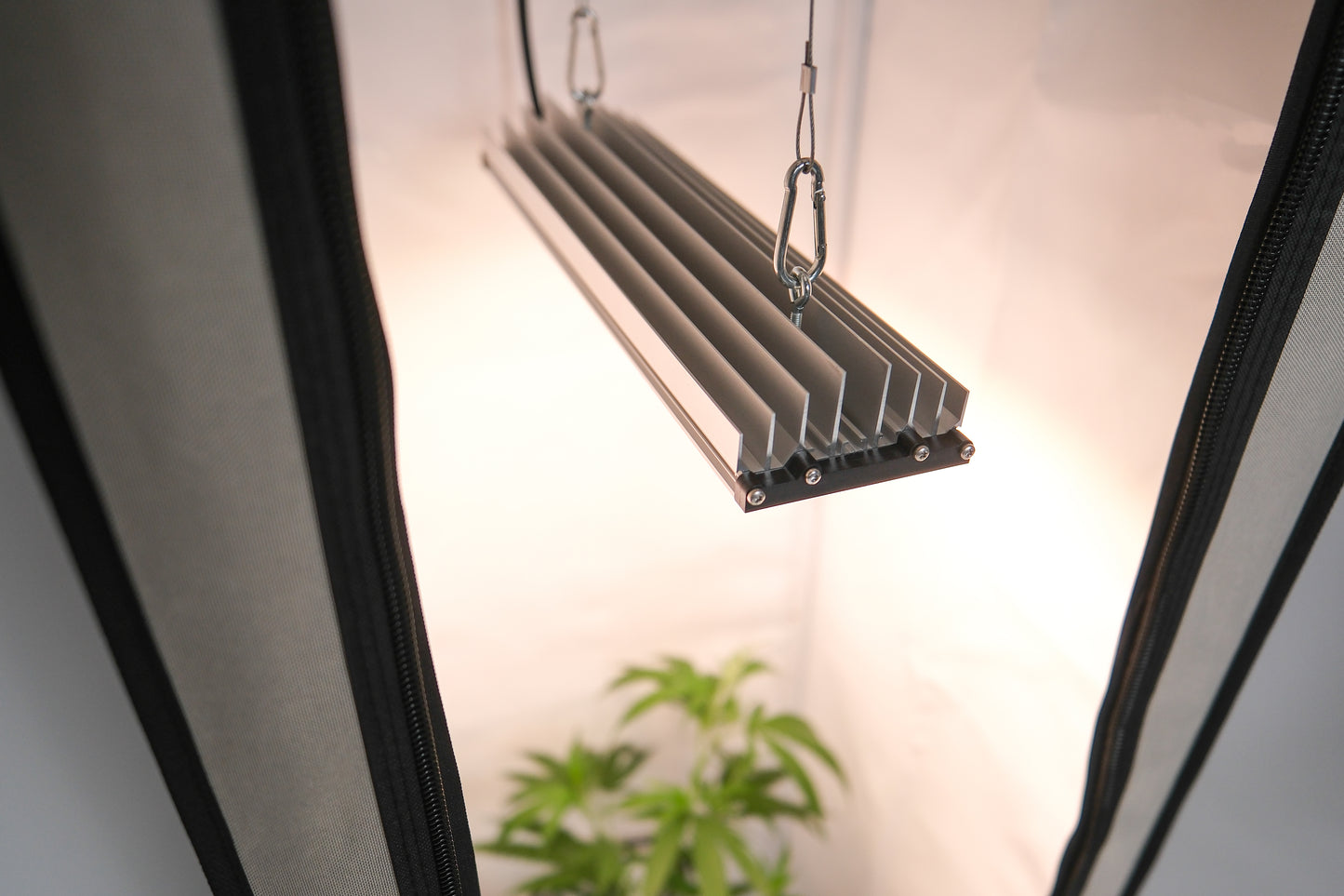 Sanlight Stixx 50 Watt