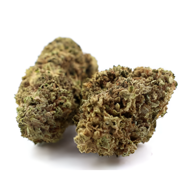Super Lemon Haze CBD – Frische Cannabissorte mit 2,5 % CBD