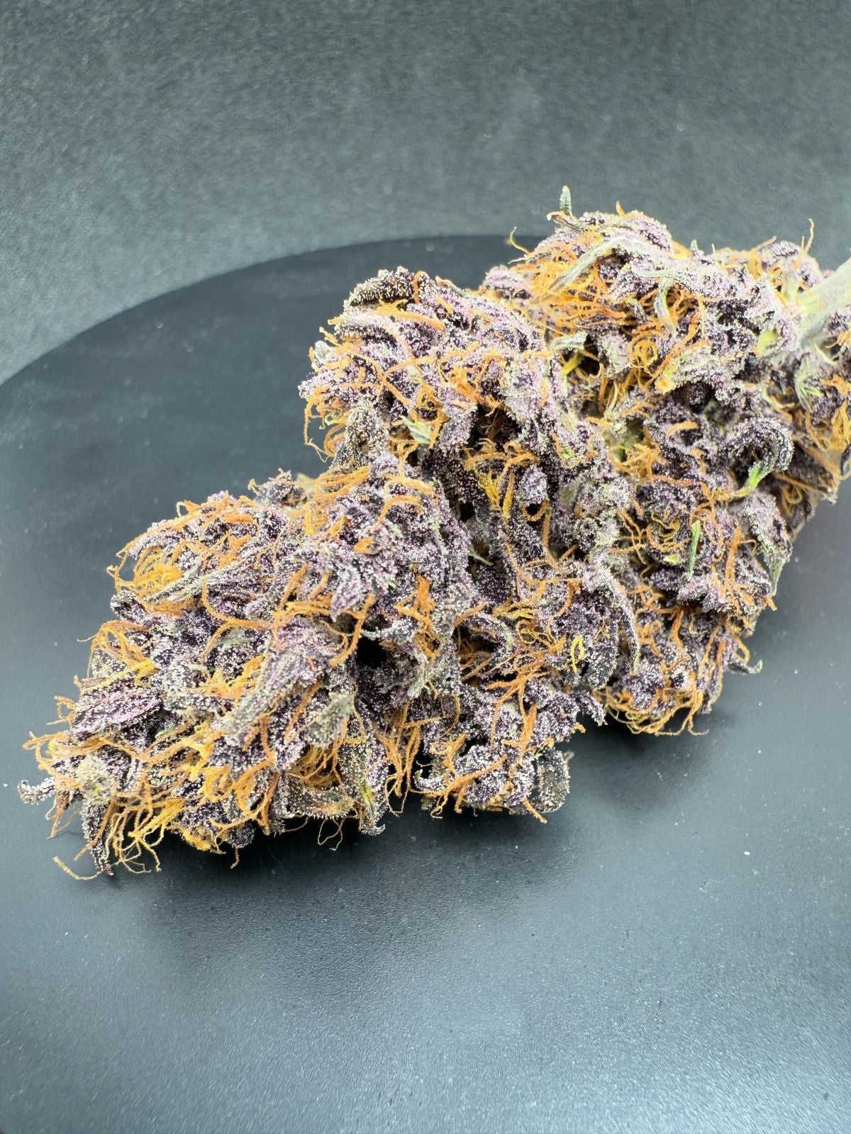 Purple Haze Auto™ - Fast Buds - 3 Stk (Kopie)