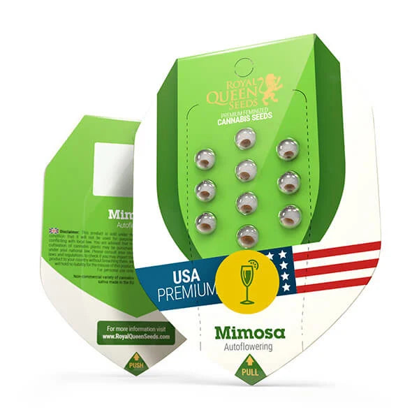 Mimosa Auto Cannabis-Samen