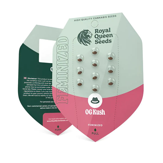 OG Kush (3 Stk.): Feminisierte Indica-Dominante Cannabissorte mit 19% THC und Hohem Ertrag