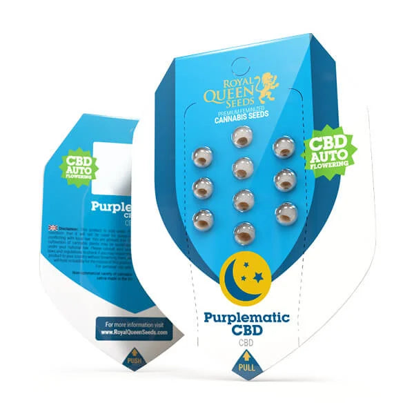 Purplematic CBD 3Stk