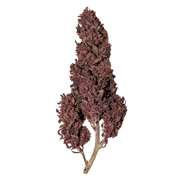 Purplematic CBD 3Stk