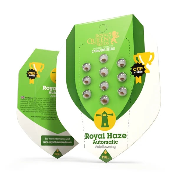 Royal Haze Auto Cannabis-Samen
