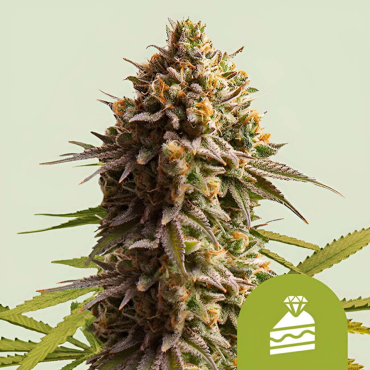 Wedding Cake - RQS - 3 Stk