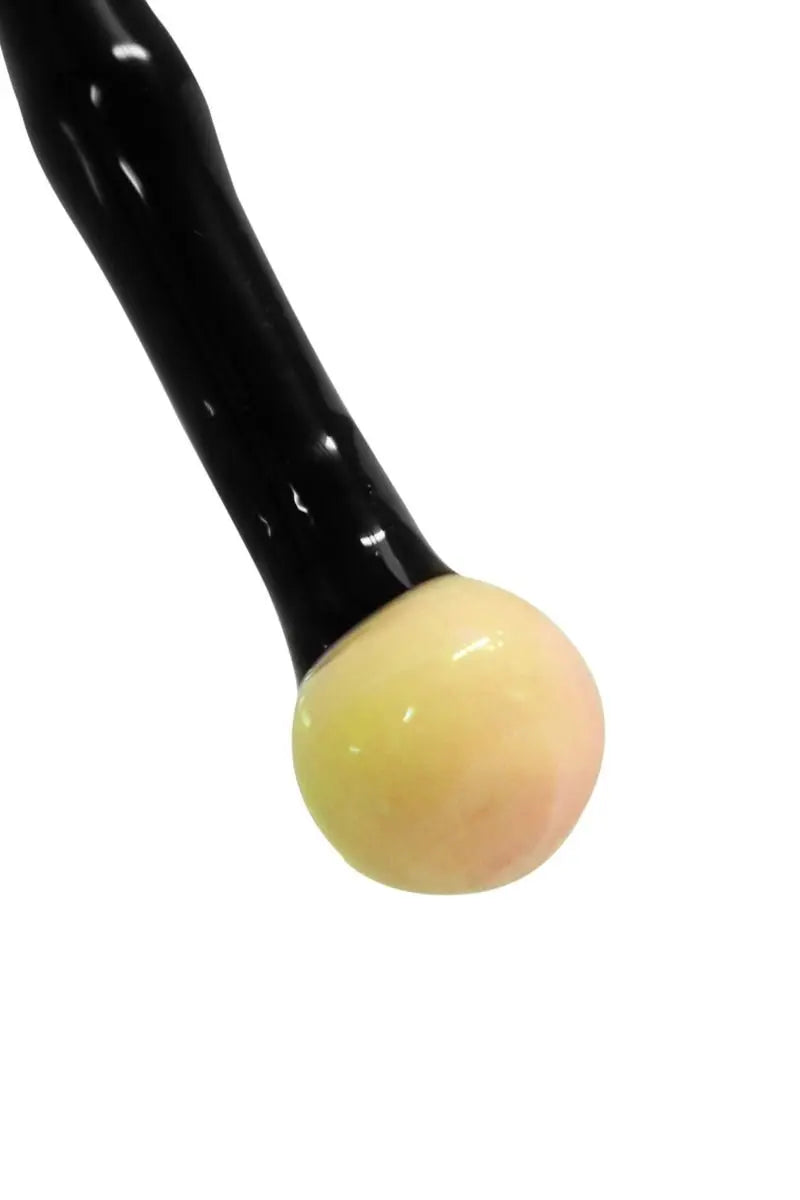 yellowhead_dabbing_glasstab_nah